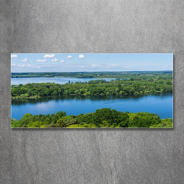 Wall art on glass Forest by the lake