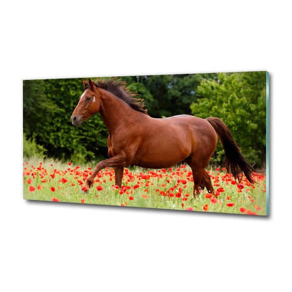 Wall art on glass A horse in the field of poppies