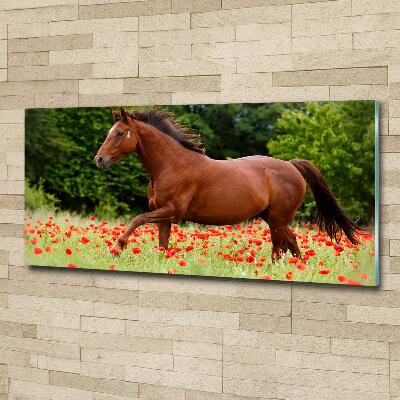 Wall art on glass A horse in the field of poppies