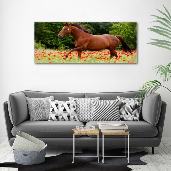 Wall art on glass A horse in the field of poppies