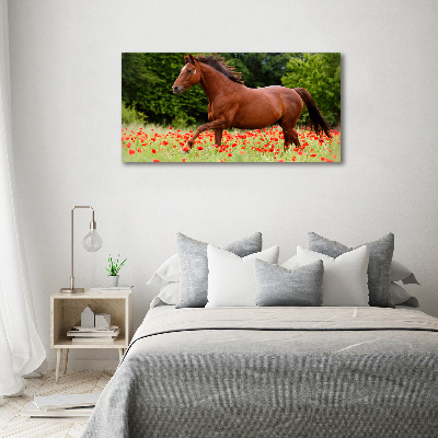 Wall art on glass A horse in the field of poppies