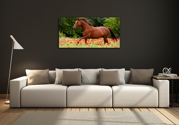 Wall art on glass A horse in the field of poppies