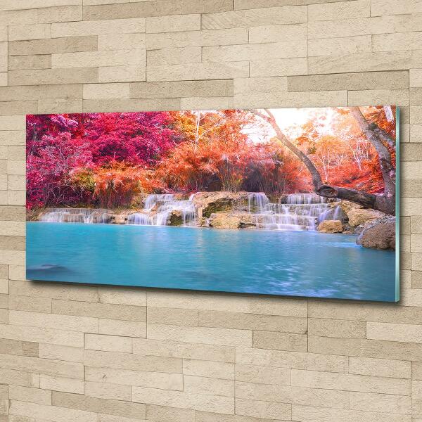 Glass art print Waterfall in the forest