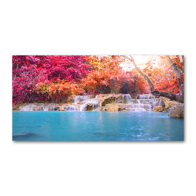 Glass art print Waterfall in the forest