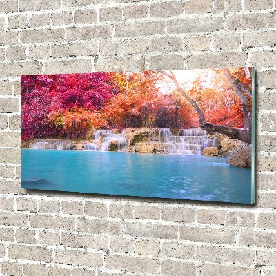 Glass art print Waterfall in the forest