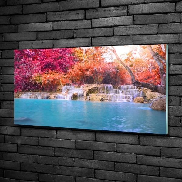 Glass art print Waterfall in the forest