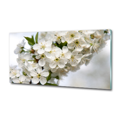 Glass art print Cherry blossoms