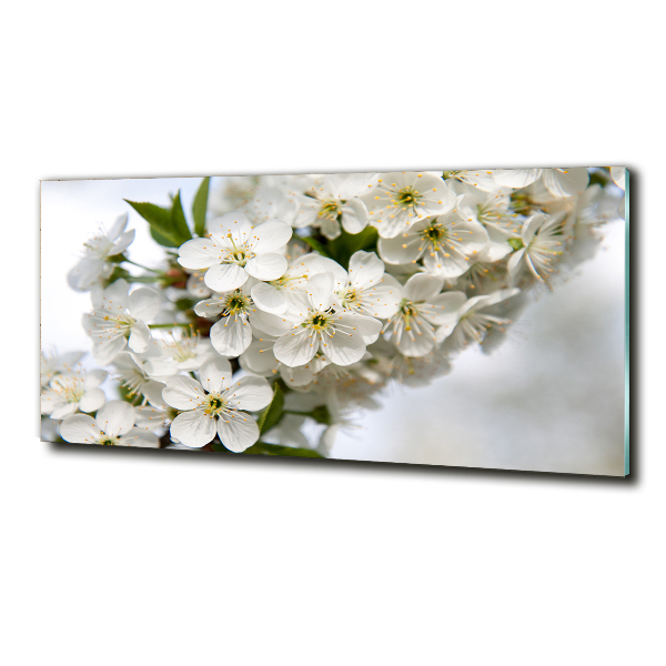 Glass art print Cherry blossoms