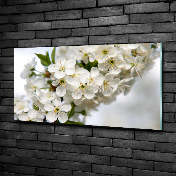 Glass art print Cherry blossoms