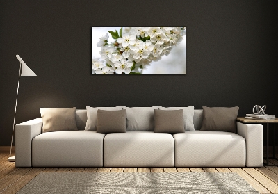 Glass art print Cherry blossoms