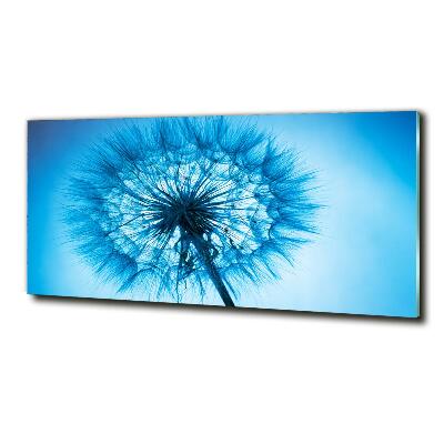 Wall art on glass Dandelion