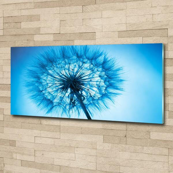 Wall art on glass Dandelion