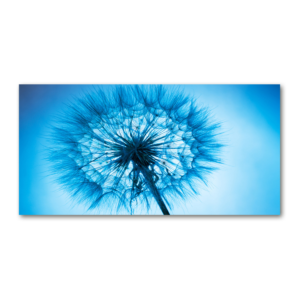 Wall art on glass Dandelion