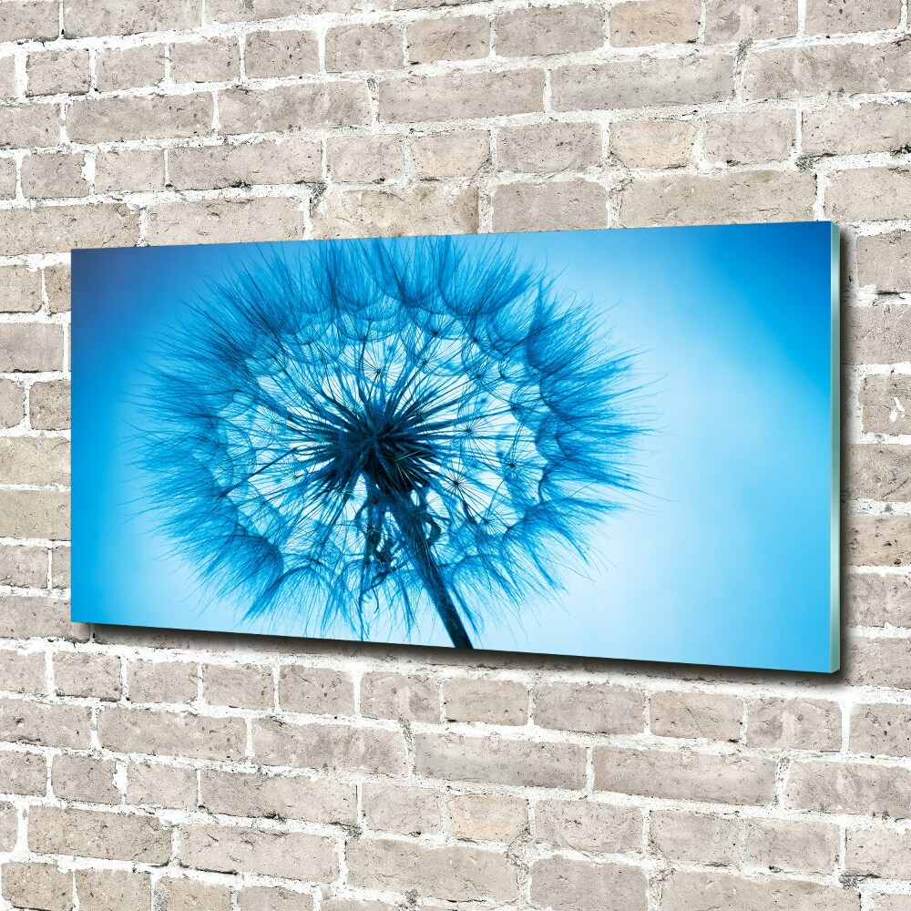 Wall art on glass Dandelion