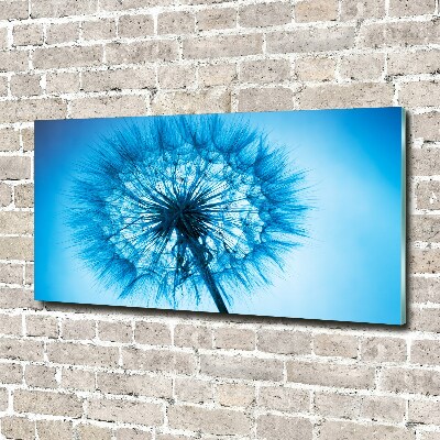 Wall art on glass Dandelion