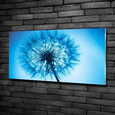 Wall art on glass Dandelion