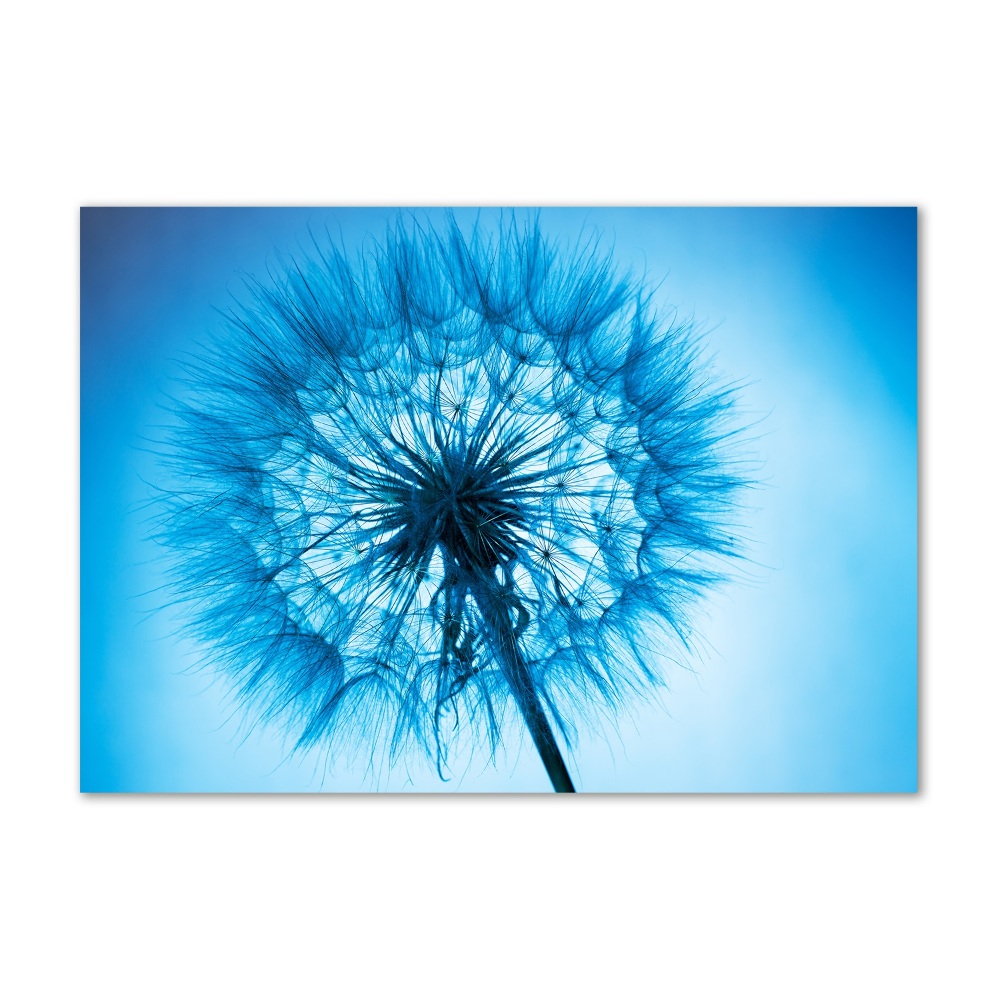 Wall art on glass Dandelion