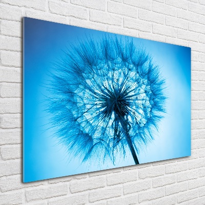 Wall art on glass Dandelion