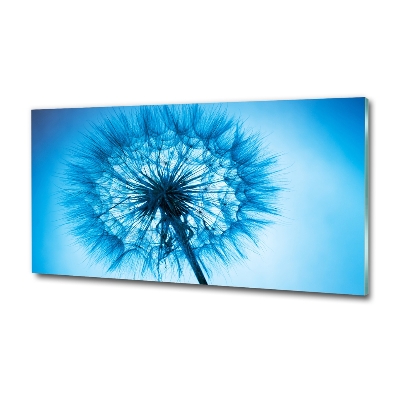 Wall art on glass Dandelion