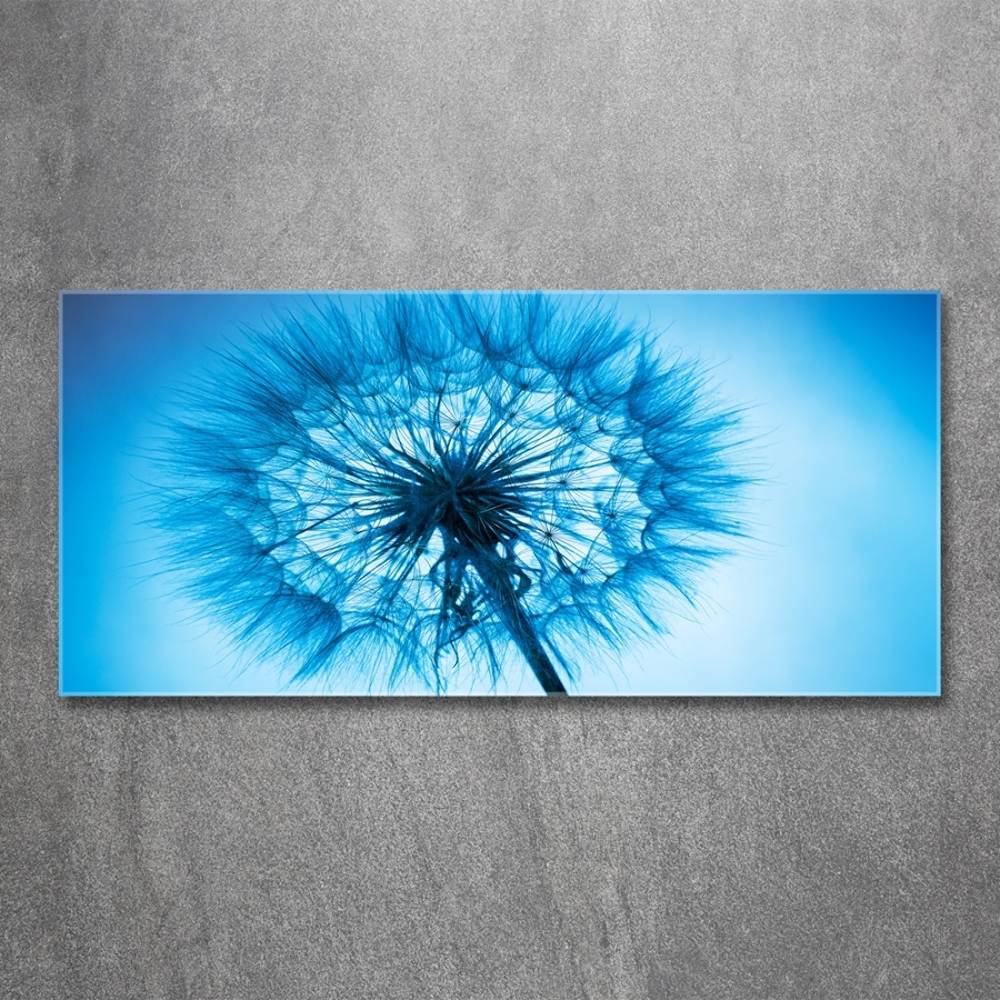 Wall art on glass Dandelion