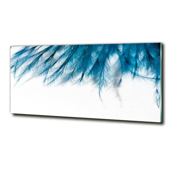 Glass art print Blue feathers