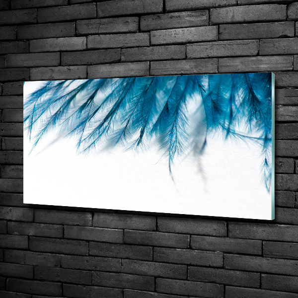 Glass art print Blue feathers