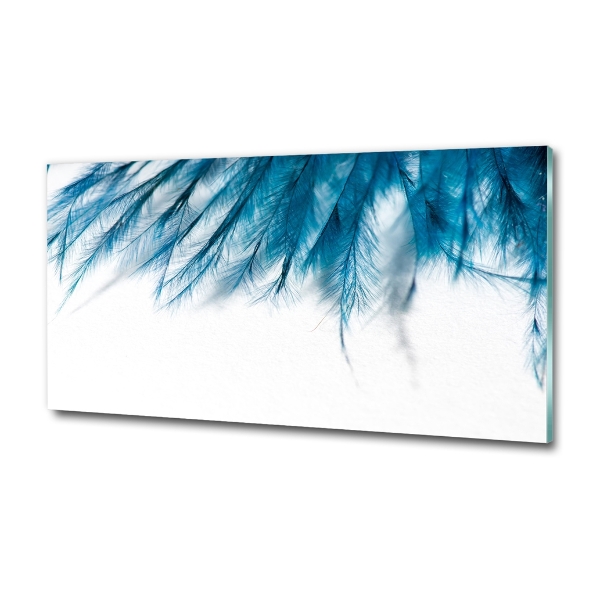 Glass art print Blue feathers