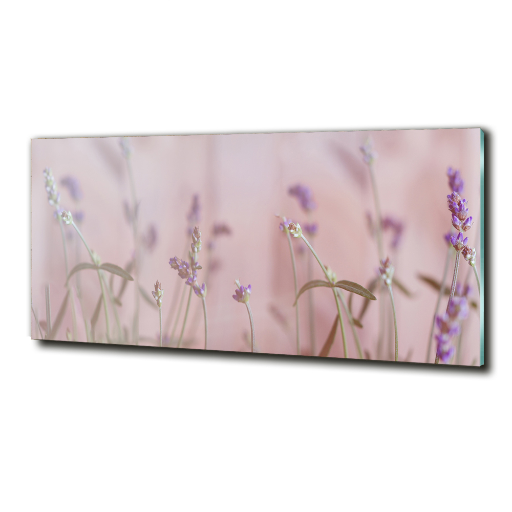 Wall art on glass Lavender