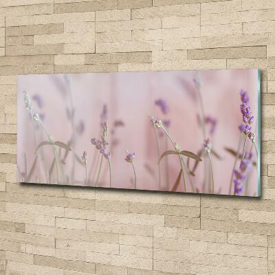 Wall art on glass Lavender