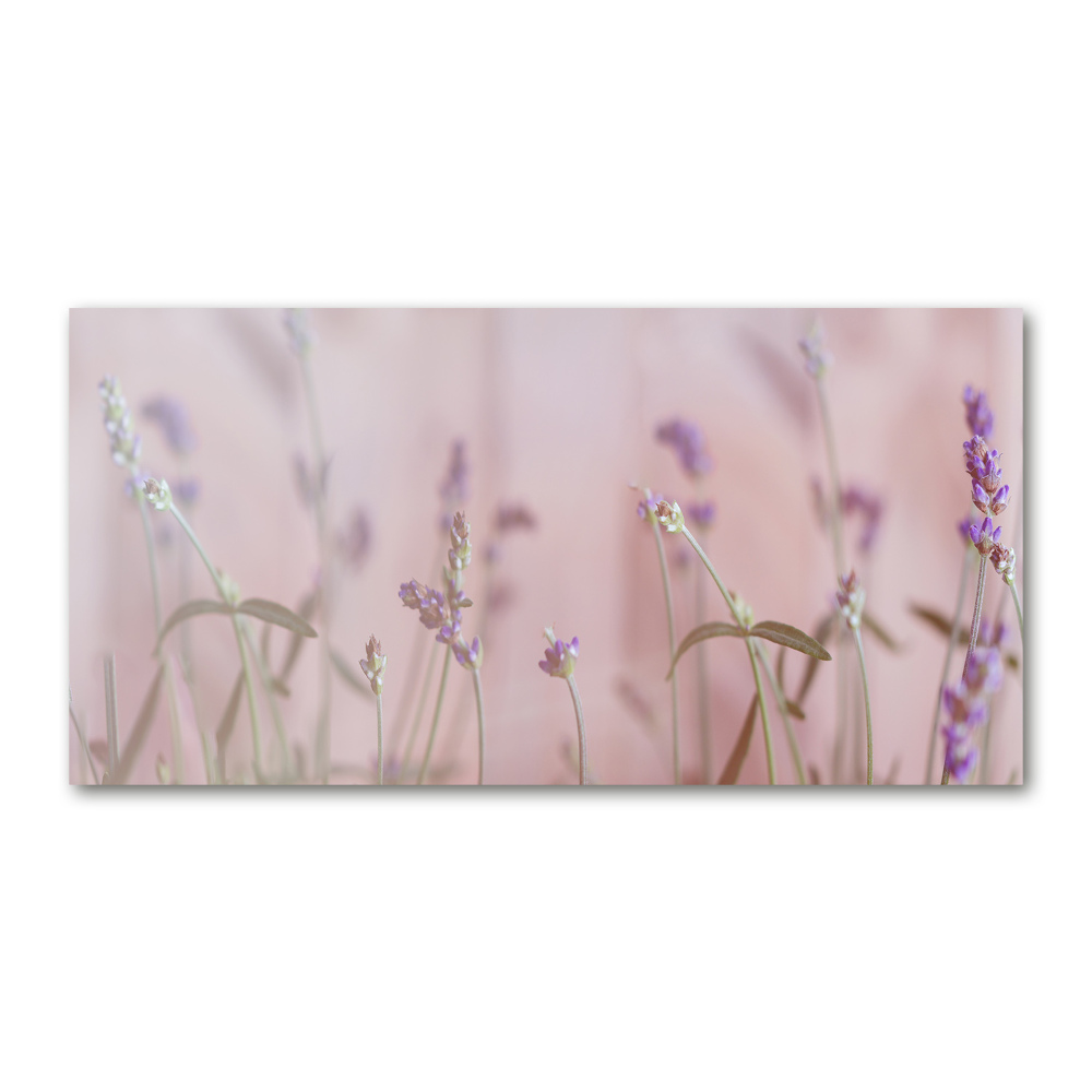 Wall art on glass Lavender