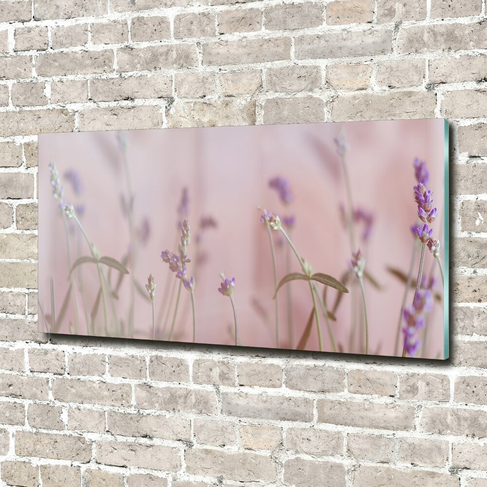 Wall art on glass Lavender