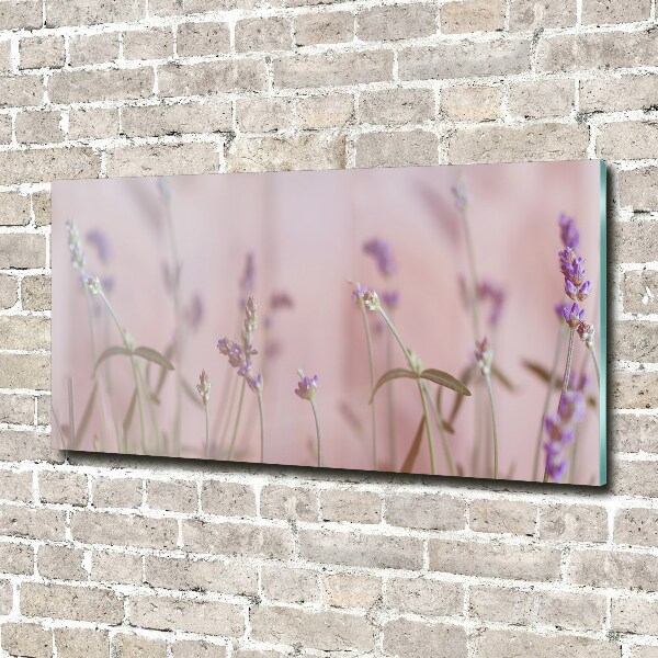 Wall art on glass Lavender