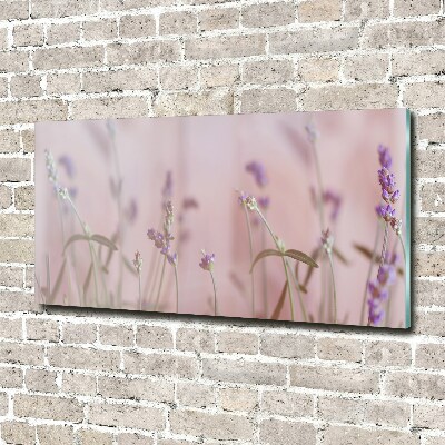 Wall art on glass Lavender