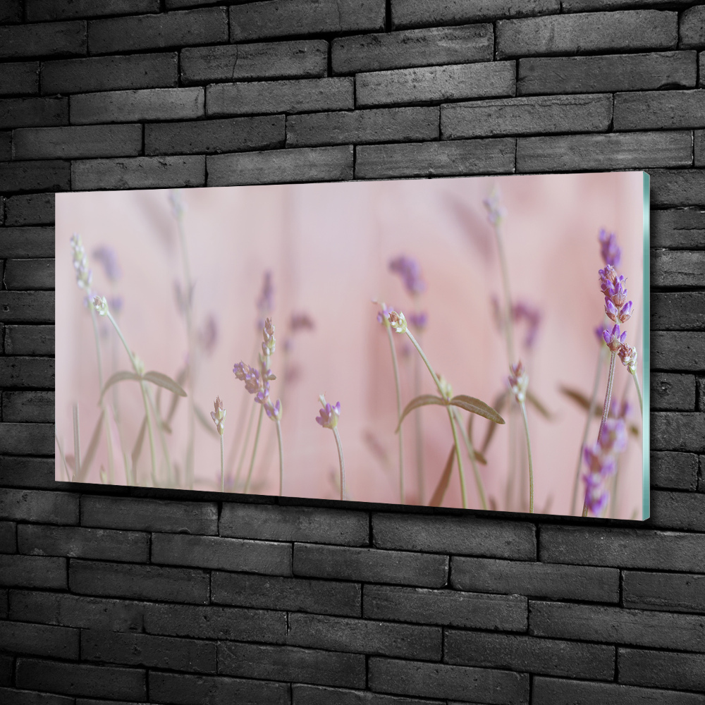 Wall art on glass Lavender