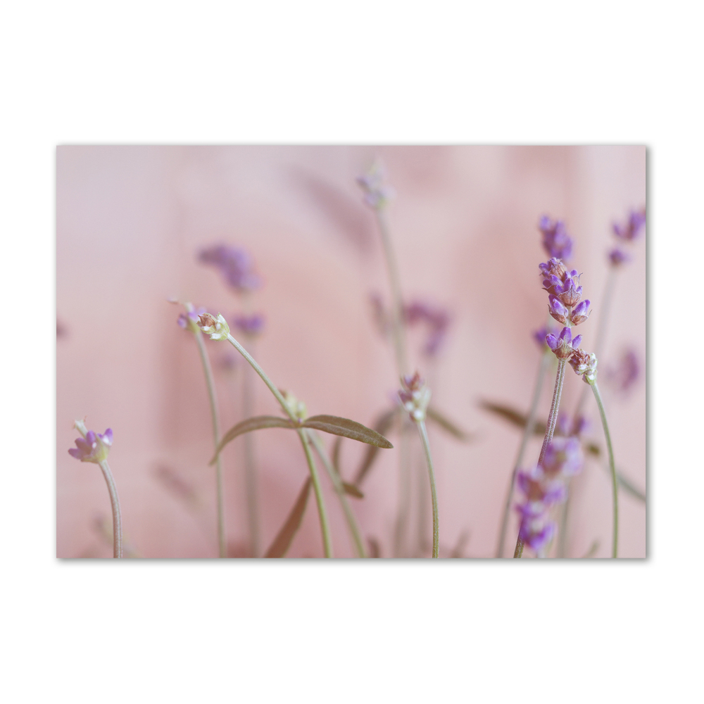 Wall art on glass Lavender