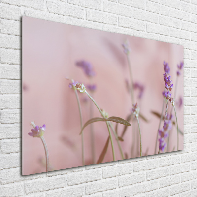 Wall art on glass Lavender