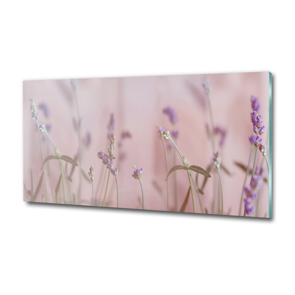 Wall art on glass Lavender