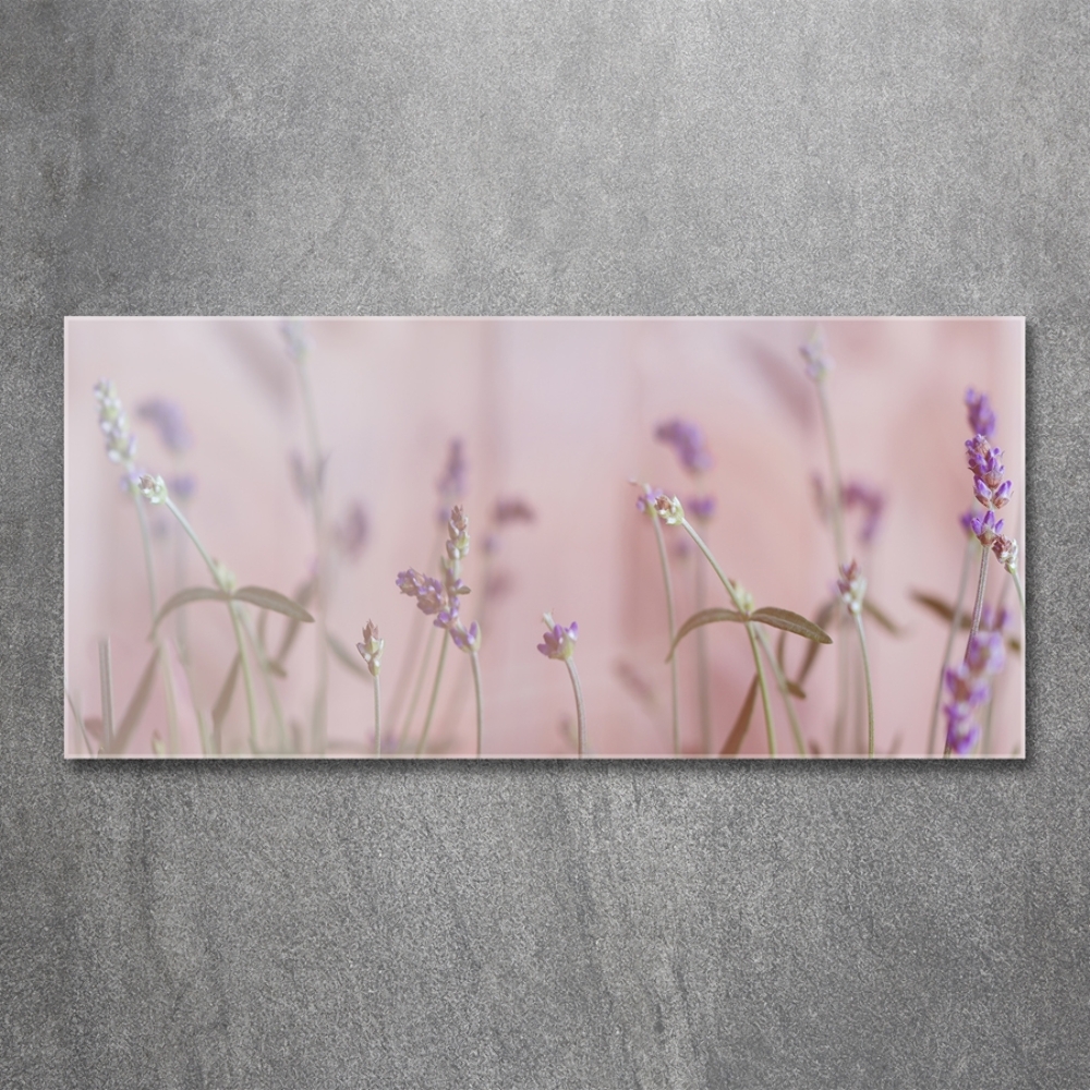 Wall art on glass Lavender