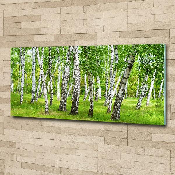 Glass art print Birch forest