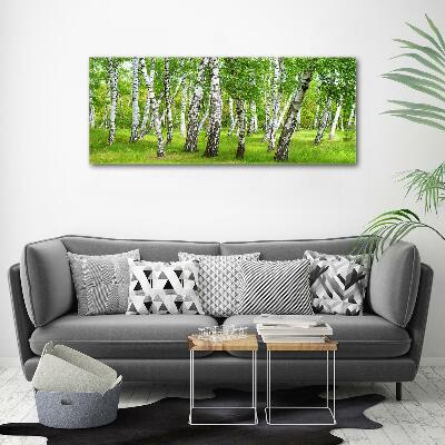 Glass art print Birch forest