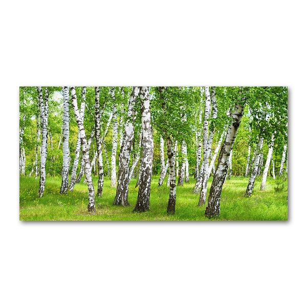 Glass art print Birch forest