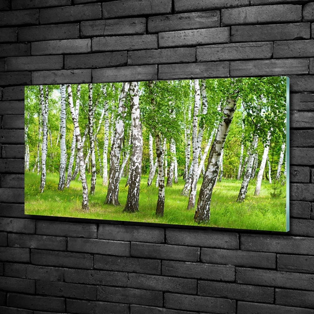 Glass art print Birch forest