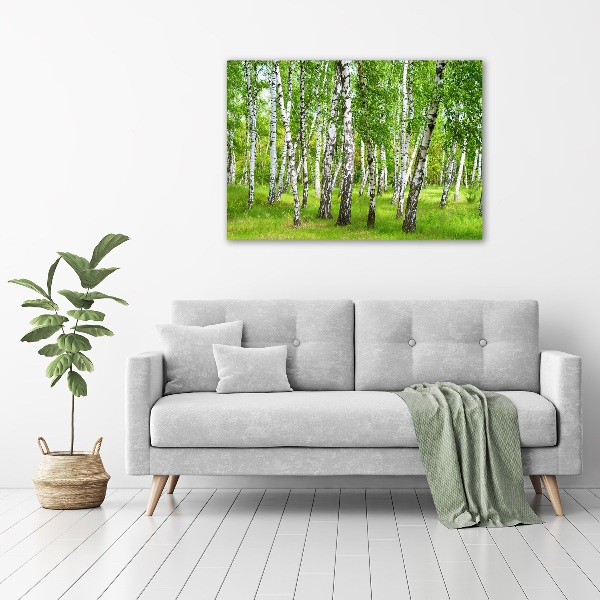 Glass art print Birch forest