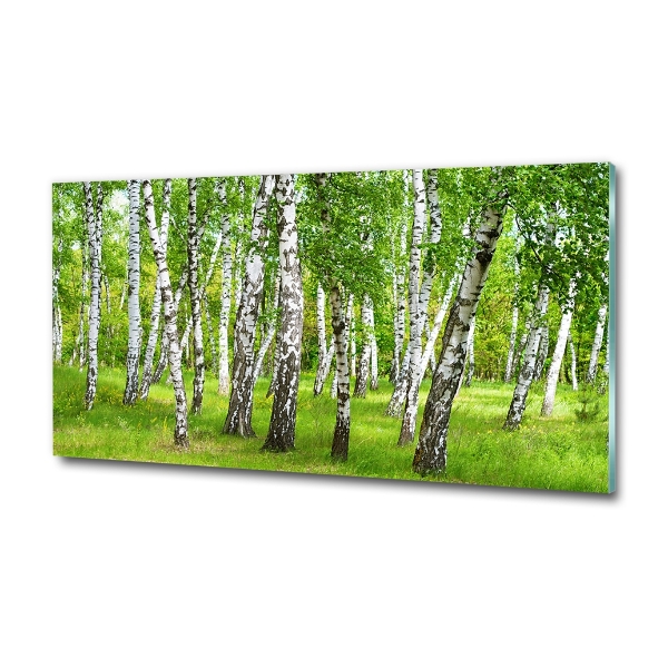 Glass art print Birch forest