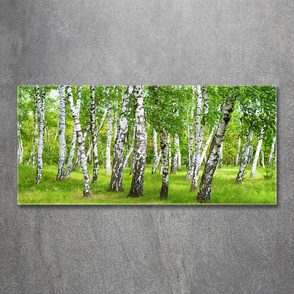 Glass art print Birch forest