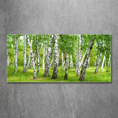 Glass art print Birch forest