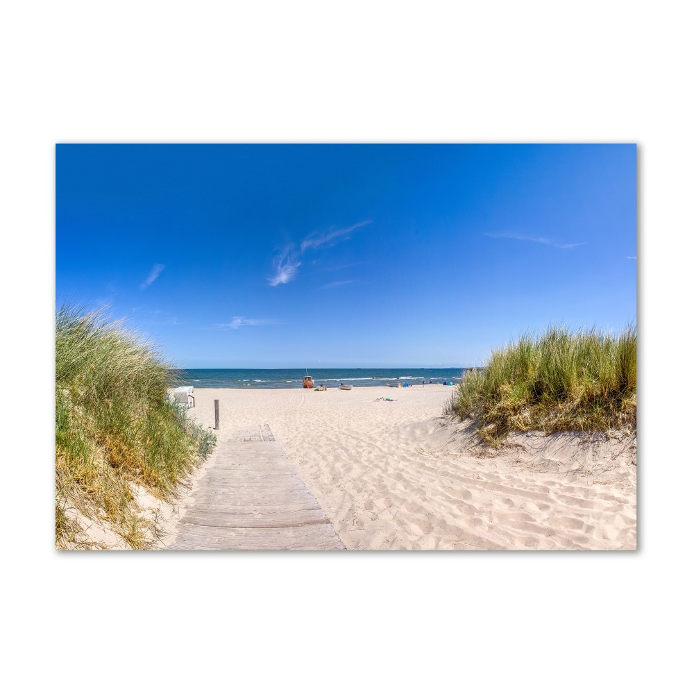 Wall art on glass Coastal dunes