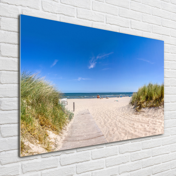 Wall art on glass Coastal dunes