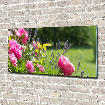 Glass art print Wild rose