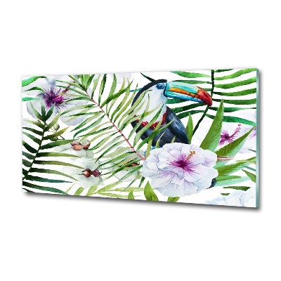 Glass picture wall art Tropics toucan